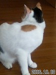 誰の頭?